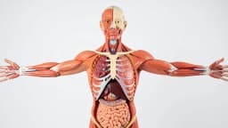 Do You Get Paid to Donate Your Body to Science? What Families Should Know